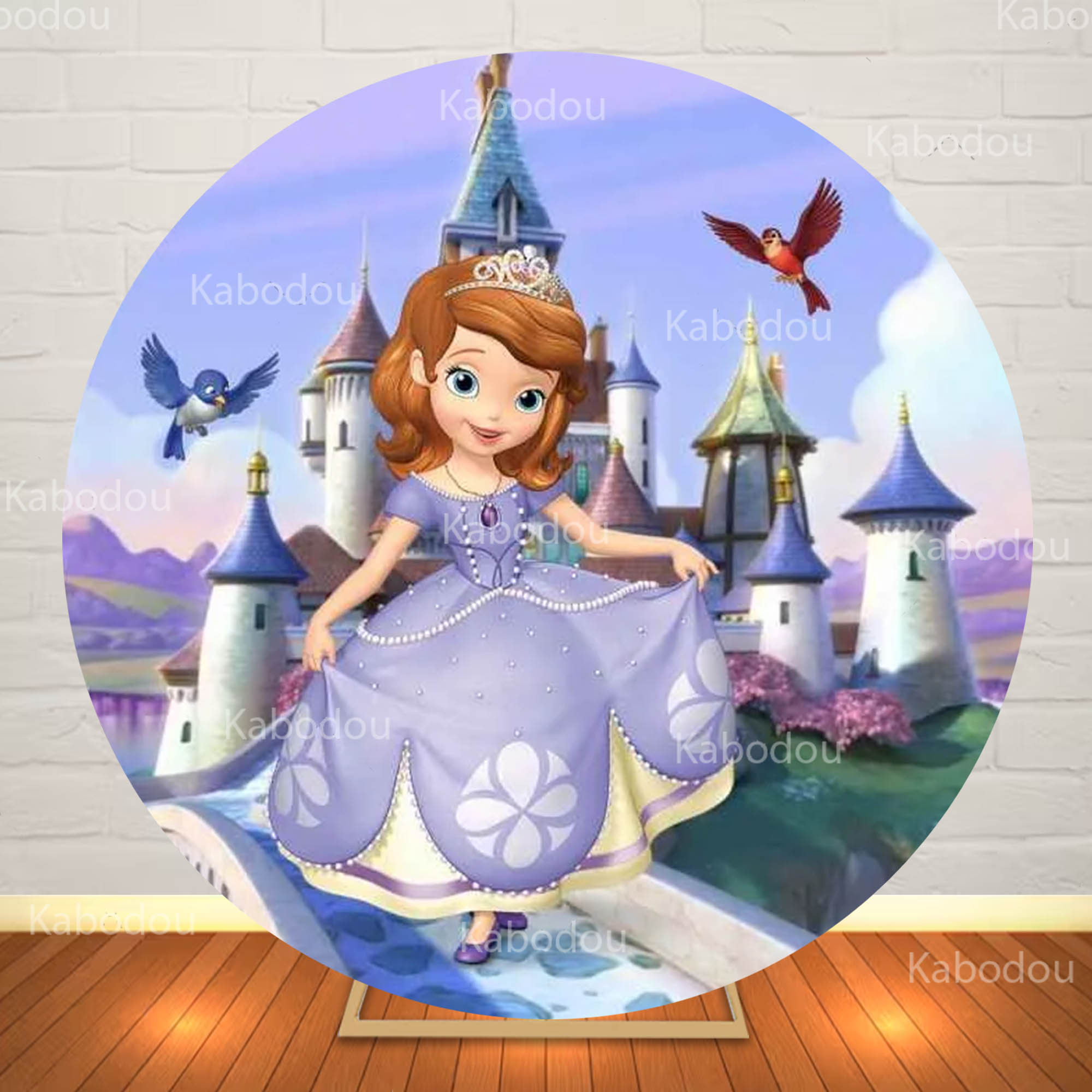 Sofia the First Round Backdrop - đánh giá và giá Photography Aesthetic