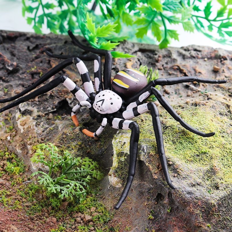 Oenux Insect Animals Model Spi - đánh giá và giá Photography Online