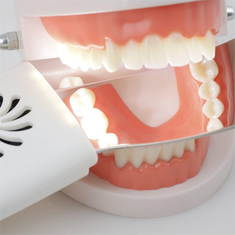Dental Anti-Fog Mirrors With L - đánh giá và giá Photography Dental