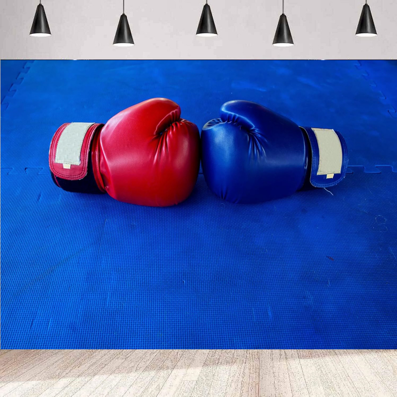 Boxing Gloves Photography Back - đánh giá và giá Photography Competition